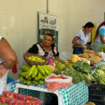 Feira da Agricultura Familiar Itinerante inicia 2025 com alimentos agroecológicos e artesanato sergipano