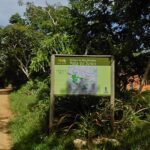 Semac realiza evento em comemoração ao Dia Nacional da Mata Atlântica