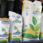 Governo do Estado entrega sementes de arroz certificadas a produtores do baixo São Francisco