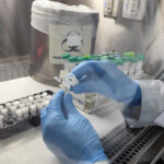 Lacen acompanha circulação de vírus respiratórios e reforça vigilância laboratorial em Sergipe