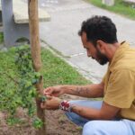 Plantio de árvores frutíferas faz parte da estratégia de arborização da Prefeitura de Aracaju