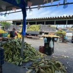 Feira Junina da Ceasa Aracaju reúne tradição, segurança e expectativa de ótimas vendas