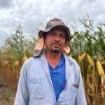 Com mais de 2,4 milhões de quilos de milho por ano, Assentamento Grelmar Brand ganha ações para fortalecer produção em Lagarto