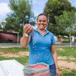 Produção agrícola de Lagarto cresce em 2025, aponta levantamento do IBGE