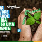 Prefeitura de Socorro promove Semana da Árvore com atividades de conscientização