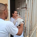Cães e gatos começam a ser vacinados na Campanha Municipal de Vacinação Antirrábica