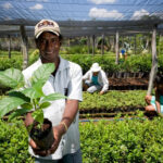 Em Sergipe, órgãos públicos já contrataram mais de R$ 182,8 mil de microempreendedores e agricultores familiares pelo Contrata+Brasil