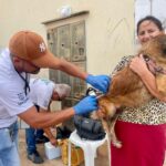 Socorro inicia Campanha Municipal de Vacinação Antirrábica na segunda-feira